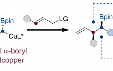 JACS：Cu催化1,1二硼烷对烯丙基立体选择性烷基化