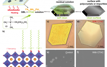 Angew：用于高效光伏的具有自清洁表面的钙钛矿单晶