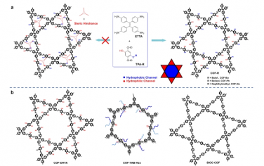 Nat Commun：通过空间位阻介导的精密亲水-疏水微相分离在二维共价有机框架中产生两亲孔隙