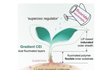 JACS：通过阴离子氧化还原实现高压和长寿命锂离子电池的梯度界面工程