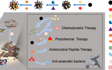 Nano Lett：依赖生理微环境的多功能纳米杂化材料自交联用于实现长期的抗菌治疗