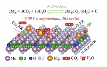 JACS：氮锚定硼化物使 Mg−CO2 电池具有高可逆性