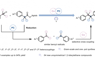 Angew：光催化-钴催化协同实现类似苄基自由基的选择性偶联