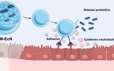 Nano Lett：负载益生菌的胞内凝胶化巨噬细胞用于治疗结肠炎