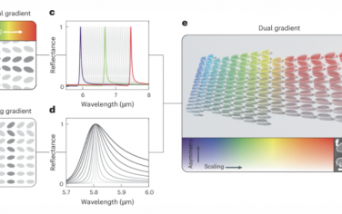 Nature Nanotechnology：双梯度元曲面连续谱实现耦合强度编码