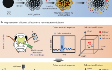 Nature Nanotechnology：光热纳米粒子调节昆虫的嗅觉