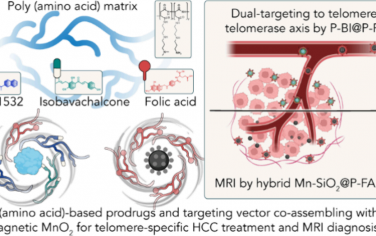 Nano Lett：基于聚(氨基酸)的纳米医学策略可通过靶向端粒-端粒酶轴和磁共振成像实现肝细胞癌治疗