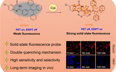 Anal. Chem：利用固态荧光探针对细胞和肿瘤小鼠的Cys进行长期成像