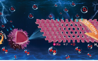 苏州大学Adv Mater：空心多级结构RE-P-O电化学合成H2O2