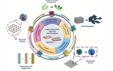AEM：电催化领域的自支撑碳基基底