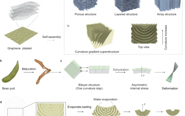 Nature Communications：超高强度结构材料曲率梯度石墨烯超结构的蒸发铸造