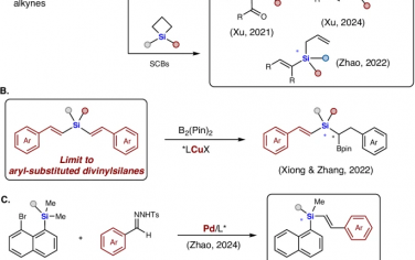 南开大学&天津大学Nature Commun：由烯烃合成Si立体中心烯烃硅烷