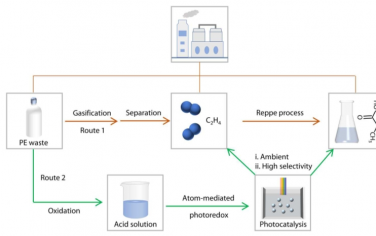 Science Advances：二氧化钛负载的原子分散的 Pd 物质光催化从塑料废物中生产乙烯和丙酸