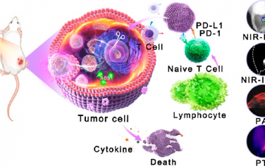 ACS Nano：CRISPR-Cas9和AIE光敏剂介导的先进纳米平台用于增强癌症治疗