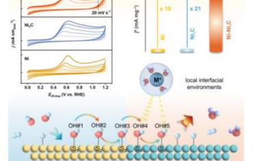 武汉大学Angew：界面吸附OH移动促进HOR氢氧化反应动力学