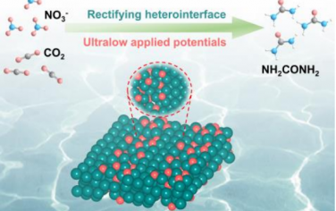 中科大Angew：Cu/Cu2O异质结增强过电势较低的C-N偶联电催化合成尿素性能