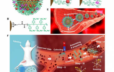 Science Advances：集群磁性纳米机器人通过类肝素聚合物刷生物界面进行体内安全协同溶栓