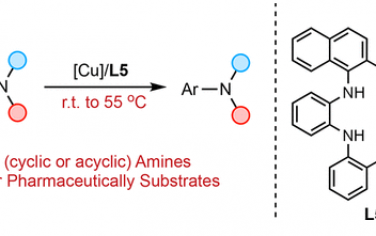 JACS：Cu催化芳基氯的氨化