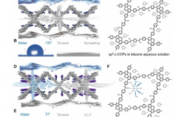 Science Advances：sp2 -c-COF 上原子分离的 Sb(CN)3 具有平衡的亲水和亲油位点，用于光催化 C-H 活化