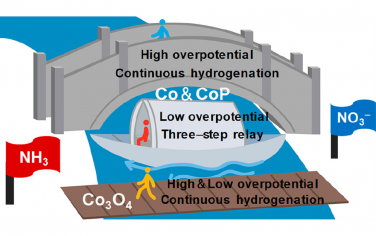 天津大学JACS：Co电催化硝酸盐合成氨的机理