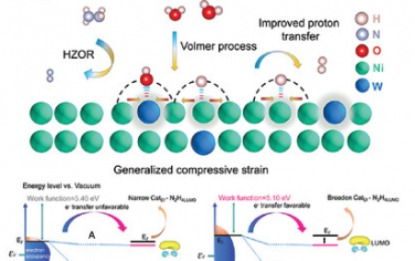南开大学Adv Mater：压缩应变W-Ni3N电催化肼氧化和产氢反应