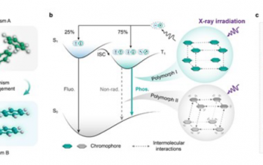 AM：用于X射线成像的多态性依赖的有机室温磷光闪烁