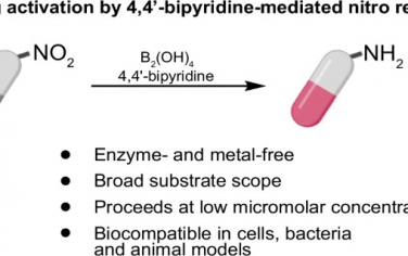 清华大学Nature Commun：生物正交联吡啶还原芳香硝基激活前药