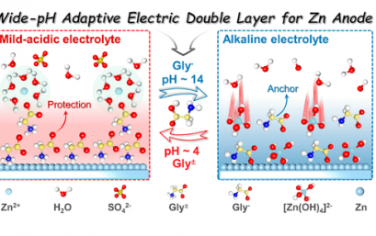 ACS Nano：自适应电离诱导可调谐双电层，适用于宽 pH 和温度范围内的实用锌金属电池