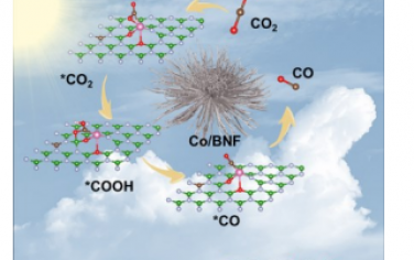 AM: 用孤立的 Co 原子调节氧掺杂氮化硼的电荷分离以增强 CO2 到 CO 的光还原