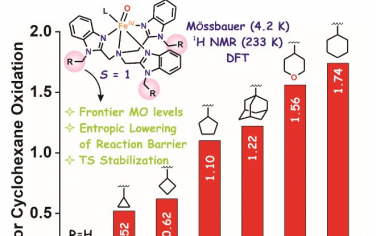 JACS：调节次级配位球的环烷基实现Fe(IV)=O配合物的催化活性提高1个数量级