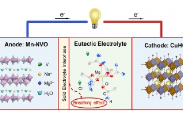 JACS：三元共晶电解液辅助形成高稳定性水基镁离子电池固体-电解液界面的动态呼吸效应