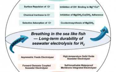 武汉理工Angew综述：电解海水制氢技术的催化剂和系统