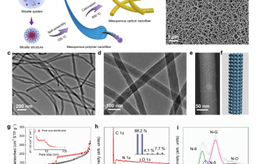 Nat Commun：通过动力学控制实现具有可定制中间相的有序介孔纳米纤维的一维定向自组装