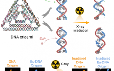 Nano Lett：利用镧系元素敏化的DNA折纸技术在单粒子水平上可视化生物分子辐射损伤